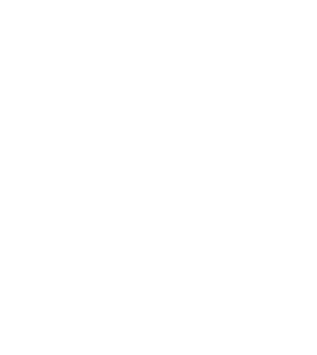 Torah Fund Logo